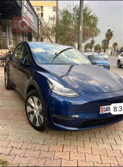 تسلا موديل Y